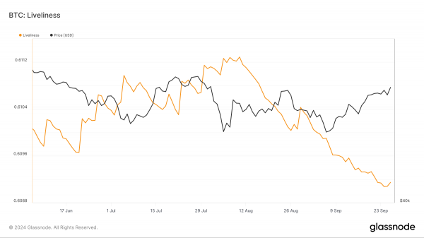 Чего ожидать финансистам от bitcoin (BTC) в октябре 2024 года