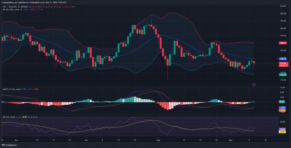 Спотовые bitcoin-ETF спустя 8 месяцев — подытоживаем