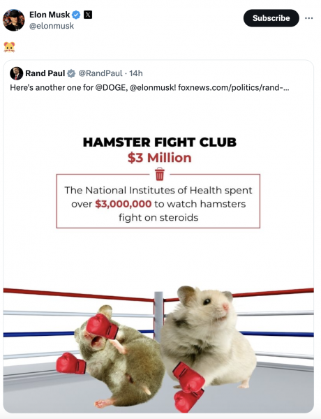 Илон Маск нежданно запампил Hamster Kombat (HMSTR)