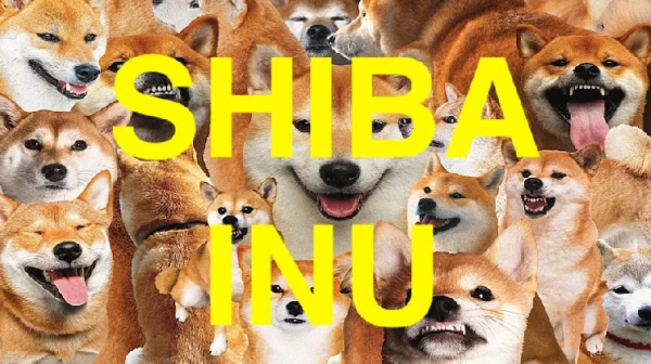 Разработчик Shiba Inu: SHIB больше не конкурирует с мемкоинами